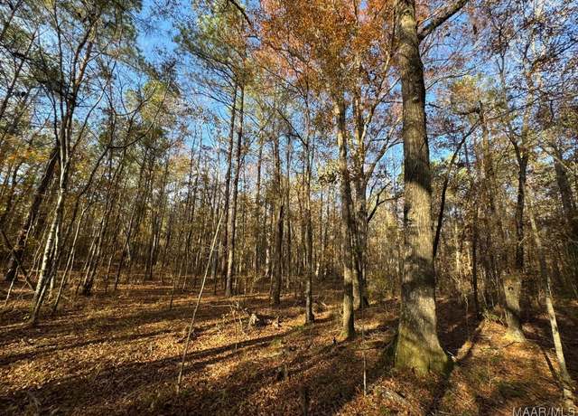 Property at 7 Jug Factory Rd, Redland, AL 36093