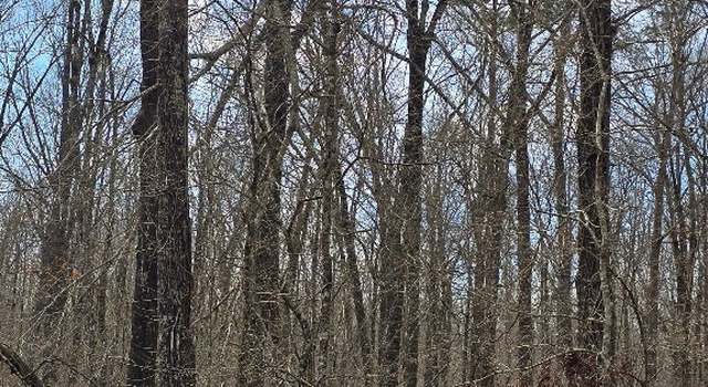 Photo of 1 Honeysuckle Ln, Cecil, AL 36013