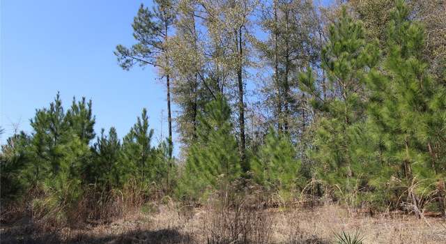 Photo of 0 Toles Rd Unit Parcel 1, Grady, AL 36036