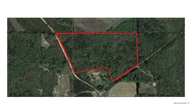Photo of 26 +/- Acres County Road 19, Skipperville, AL 36374