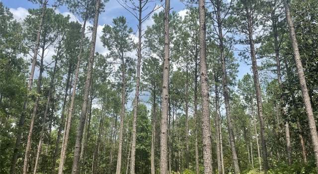 Photo of 00 Peake Rd, Pine Level, AL 36065