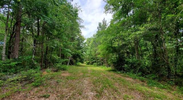 Photo of 1162 N Union Ave, Ozark, AL 36360