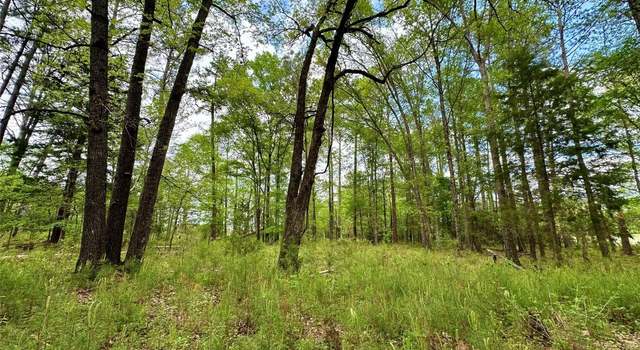 Photo of 0 Highway 82 Hwy, Mathews, AL 36052