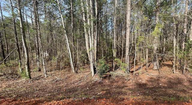 Photo of 001 Robinson Rd, Eclectic, AL 36024