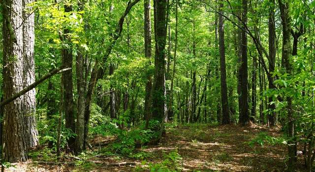 Photo of 18856 Highway 22 Hwy, Rockford, AL 35136