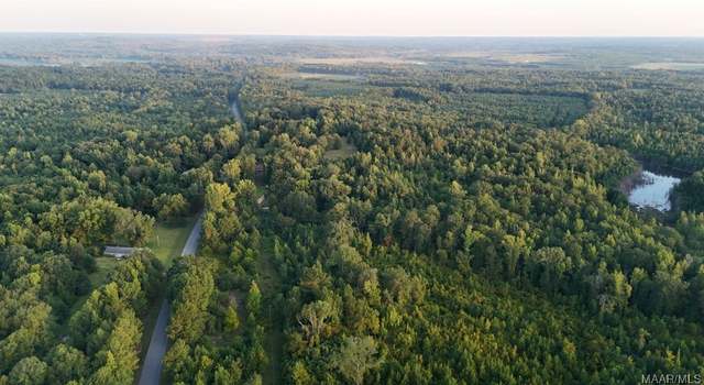 Photo of 0 County Rd #36, Tuskegee, AL 36083