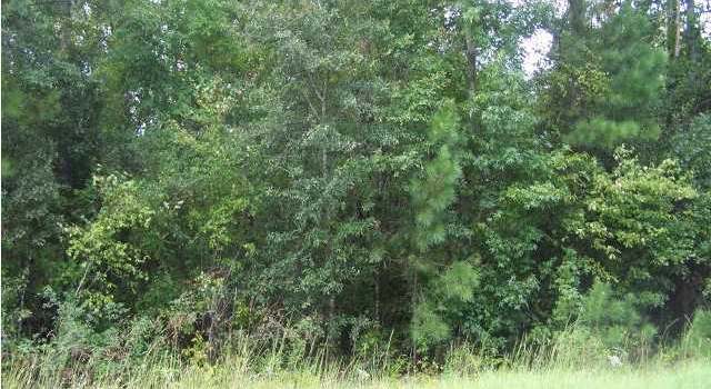 Photo of 0 Brookley Dr, Eclectic, AL 36024