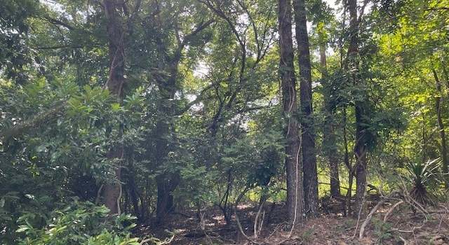 Photo of LOT 11 Busch Hill Rd, Wetumpka, AL 36093