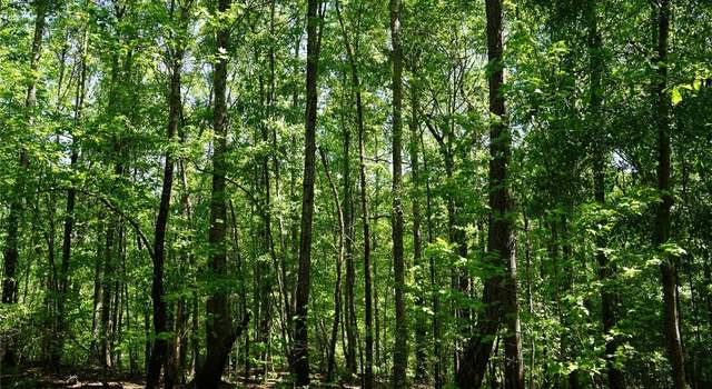 Photo of 2892 Peake Rd, Pine Level, AL 36093
