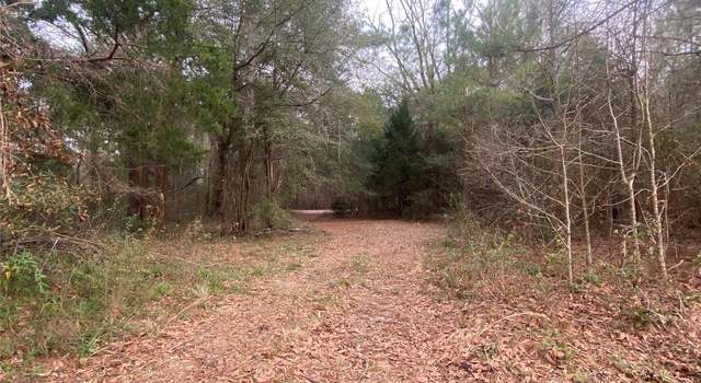 Photo of 0 Raybon Rd, Honoraville, AL 36042