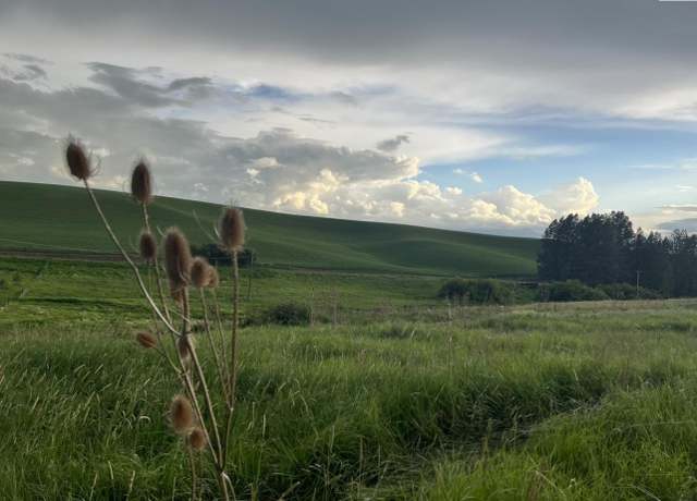 Property at TBD Tidwell, Palouse, WA 99161