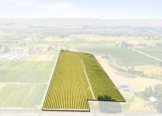 Property at SP 2161 Lot 2 Nka Mccreadie, Prosser, WA 99350
