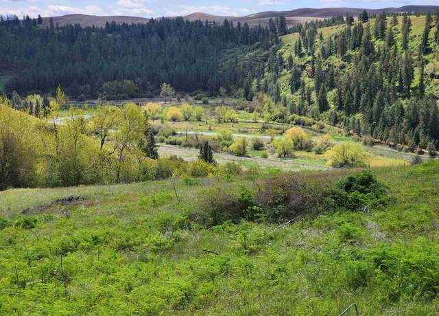 Property at 21 Red Tail Rdg, Colfax, WA 99111