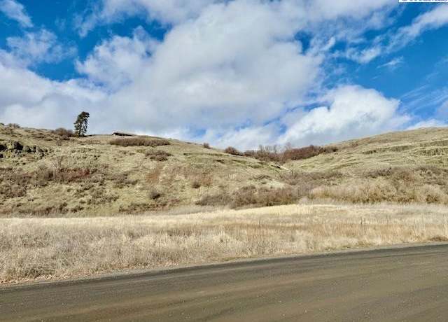 Property at 20 Red Tail Rdg, Colfax, WA 99111