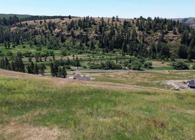 Property at Lot 32 Red Tail Rdg, Colfax, WA 99111