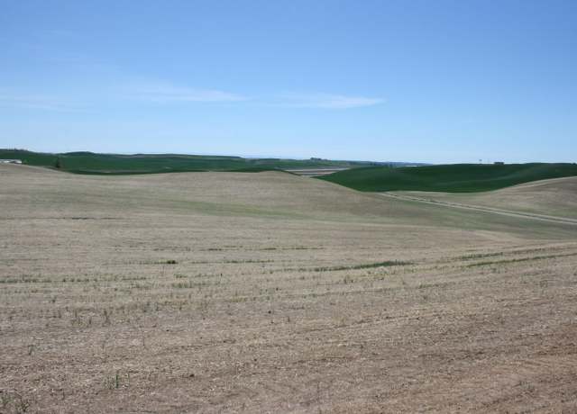 Property at 31 Golden Wheat Ln, Pullman, WA 99163