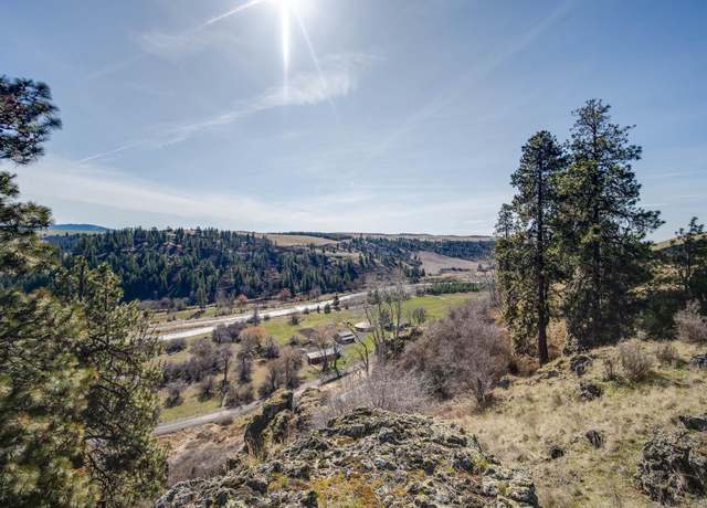 Property at 6E Red Tail Rdg, Colfax, WA 99111