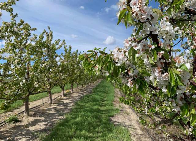 Property at TBD E Terril Rd, Kennewick, WA 99337