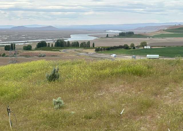 Property at NKA Ringold Rd (parcel A), Eltopia, WA 99330