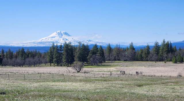 Photo of NKA10 Arabian Ct, Centerville, WA 98613