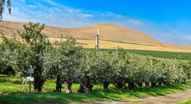 Photo of NKA Desmarais Rd, Moxee, WA 98936