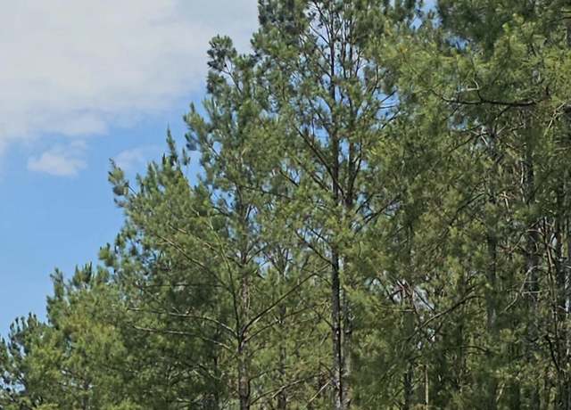 Property at 1659 Tillman Rd, Ridgeland, SC 29936
