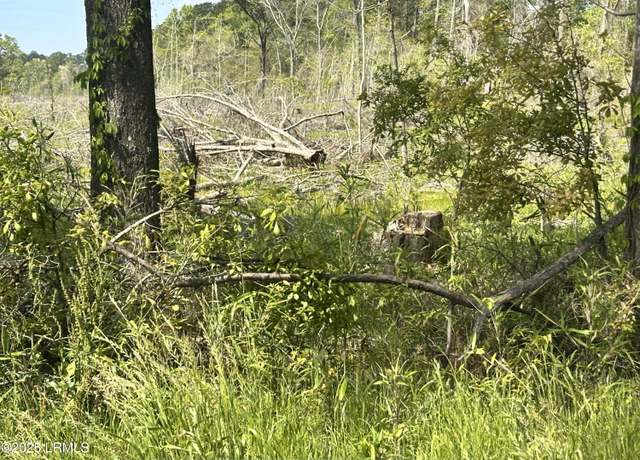 Property at 00 Lowcountry Dr, Ridgeland, SC 29936