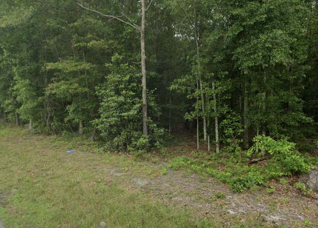 Property at Tbd Charleston Hwy, Hampton, SC 29924