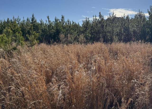 Property at Tbd S Ulmer Rd, Fairfax, SC 29827
