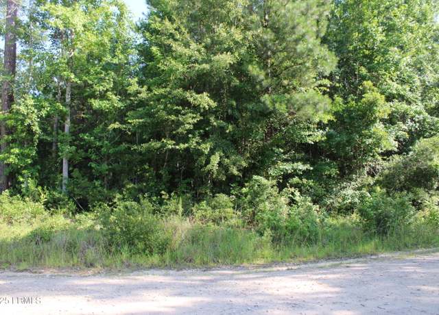 Property at 800 Dr Young Rd, Hampton, SC 29924
