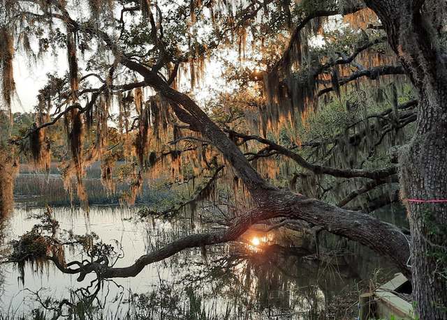 Property at 2214 Moss St, Beaufort, SC 29902