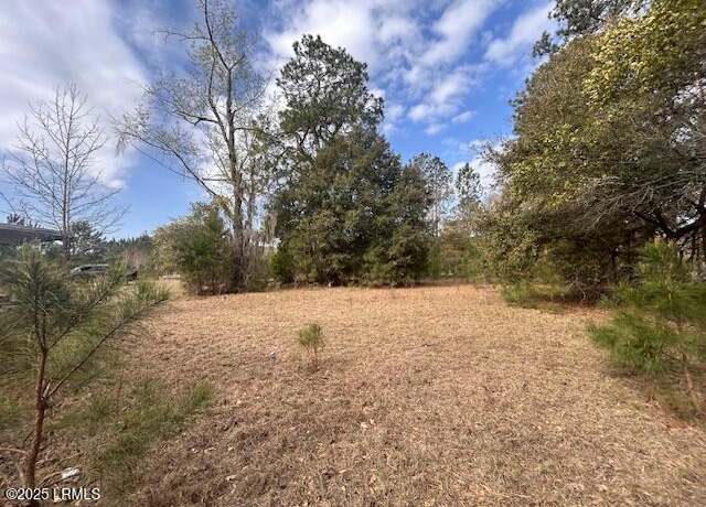 Property at 28 Po Boy Acres, Hampton, SC 29924