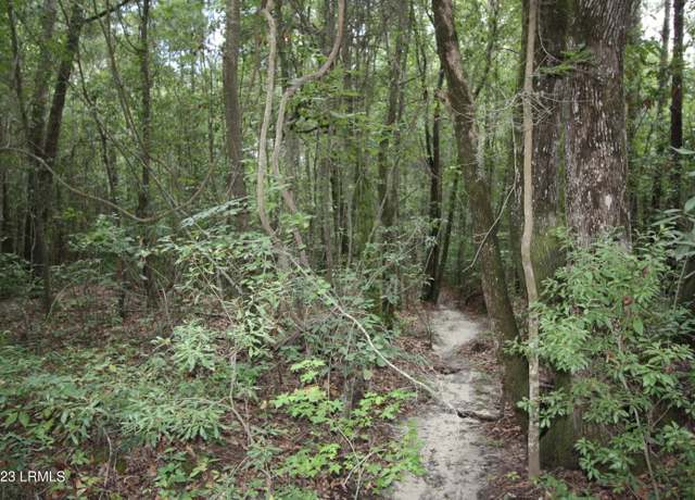Property at 60 Wadley St, Furman, SC 29921