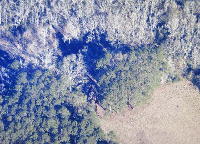 Property at 0 Tbd Charleston Hwy, Sheldon, SC 29941