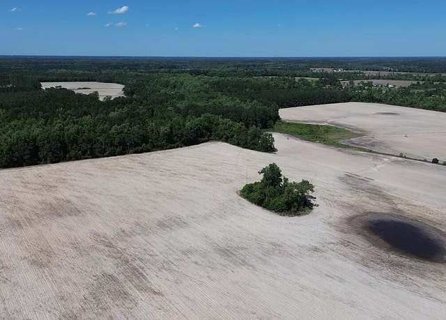 Property at 0000 Burnell Rd, Estill, SC 29918