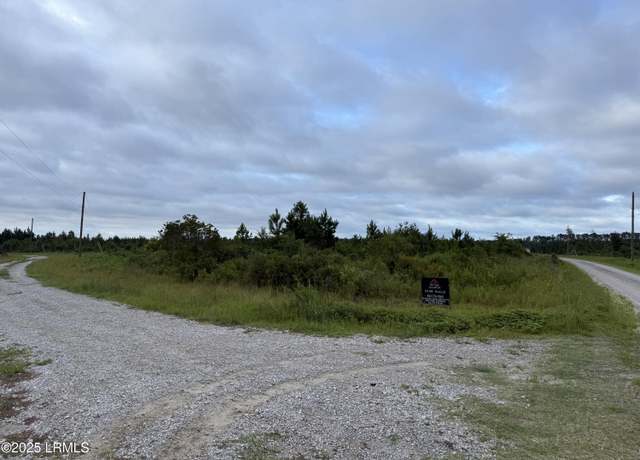 Property at 0 Grady Mixon Rd, Early Branch, SC 29916