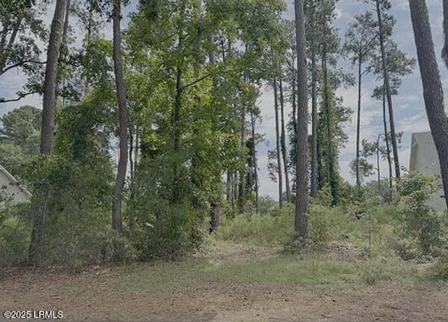 Property at 251 Locust Fence Rd, Dataw Island, SC 29920