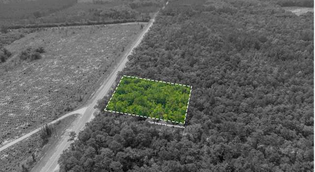Photo of Tbd Lowcountry Hwy, Yemassee, SC 29945
