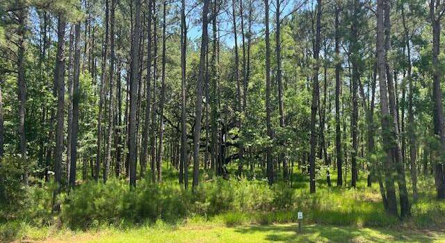 Photo of 177 Bridle Path Blvd, Hardeeville, SC 29927