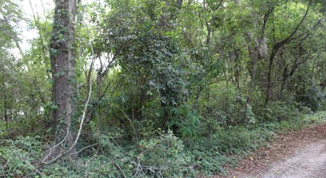 Photo of 000 Harvey St, Brunson, SC 29911