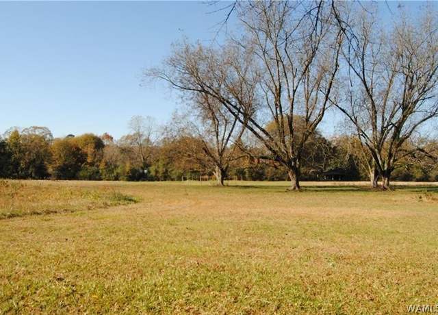 Property at 000 5th Ave NE, Fayette, AL 35555