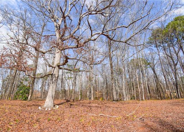 Property at 0 Colonial Dr, Duncanville, AL 35456