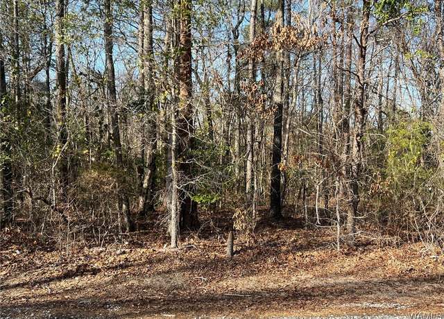 Property at 00 Ashborough Dr, Cottondale, AL 35453