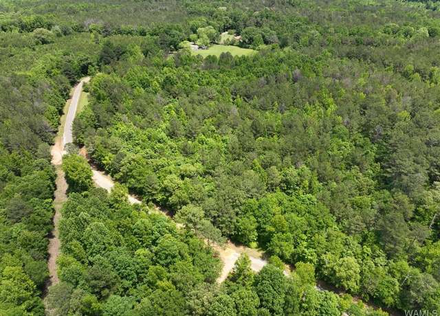 Property at 0 Yorkville Rd, Ethelsville, AL 35461