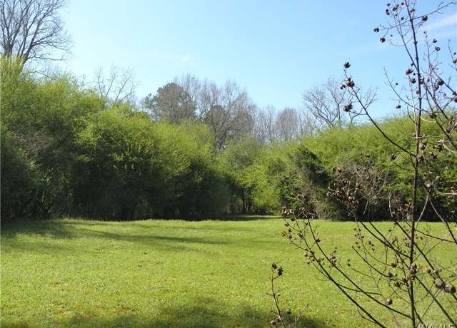 Property at 0000 Daffron Rd, Cottondale, AL 35453