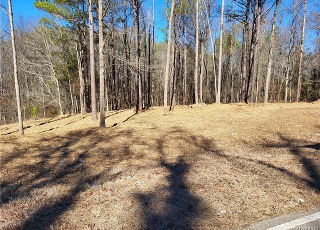 Property at 0 Northside Rd, Northport, AL 35475