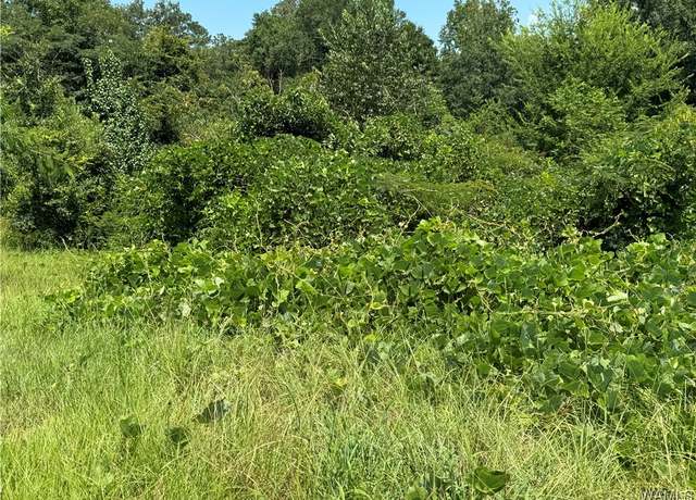 Property at 46 Shannon Ln, Fosters, AL 35463