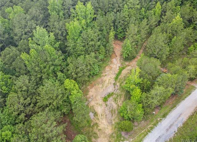 Property at 8850 Tom Taylor Rd, Northport, AL 35473