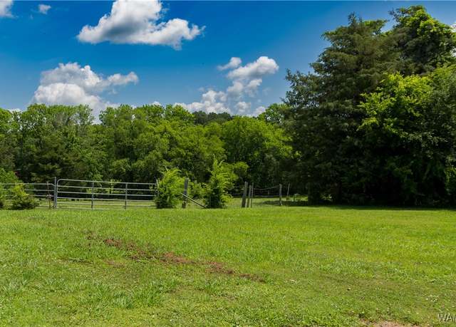 Property at 0 N Washington St, Livingston, AL 35470