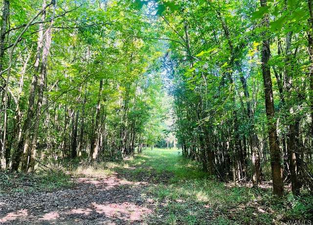 Property at 0 Hwy 11, York, AL 36925